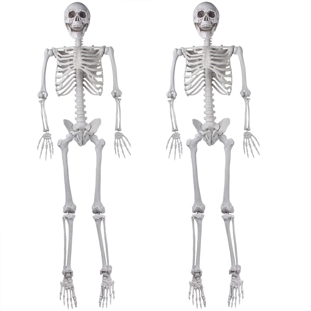 2Packs 5.4ft Life Size Full Body Skeletons with Movable Joints G520