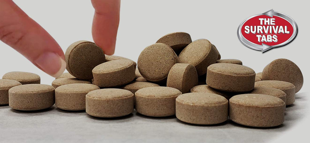 Chocolate High-Protein Survival Tabs L5730