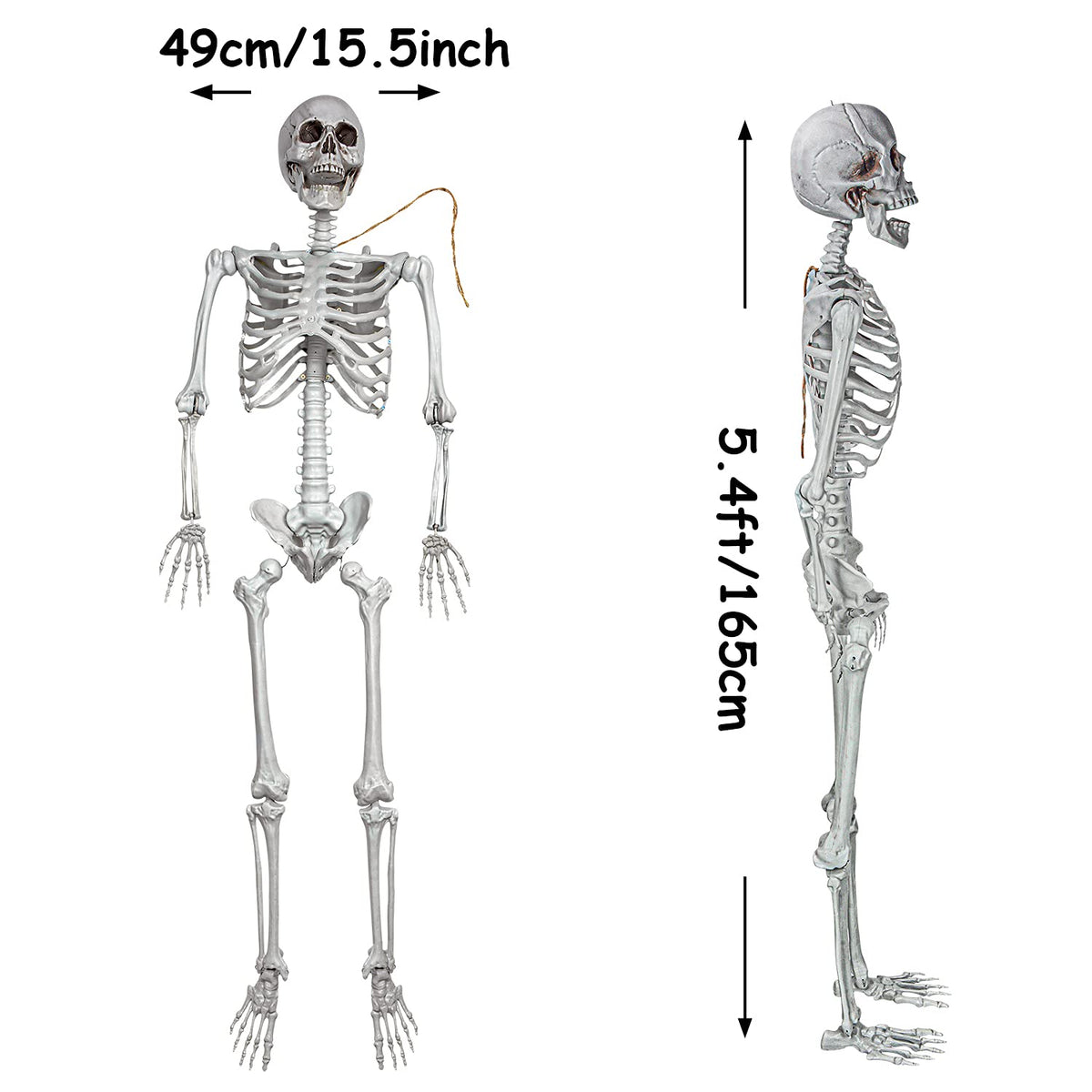 2Packs 5.4ft Life Size Full Body Skeletons with Movable Joints G520