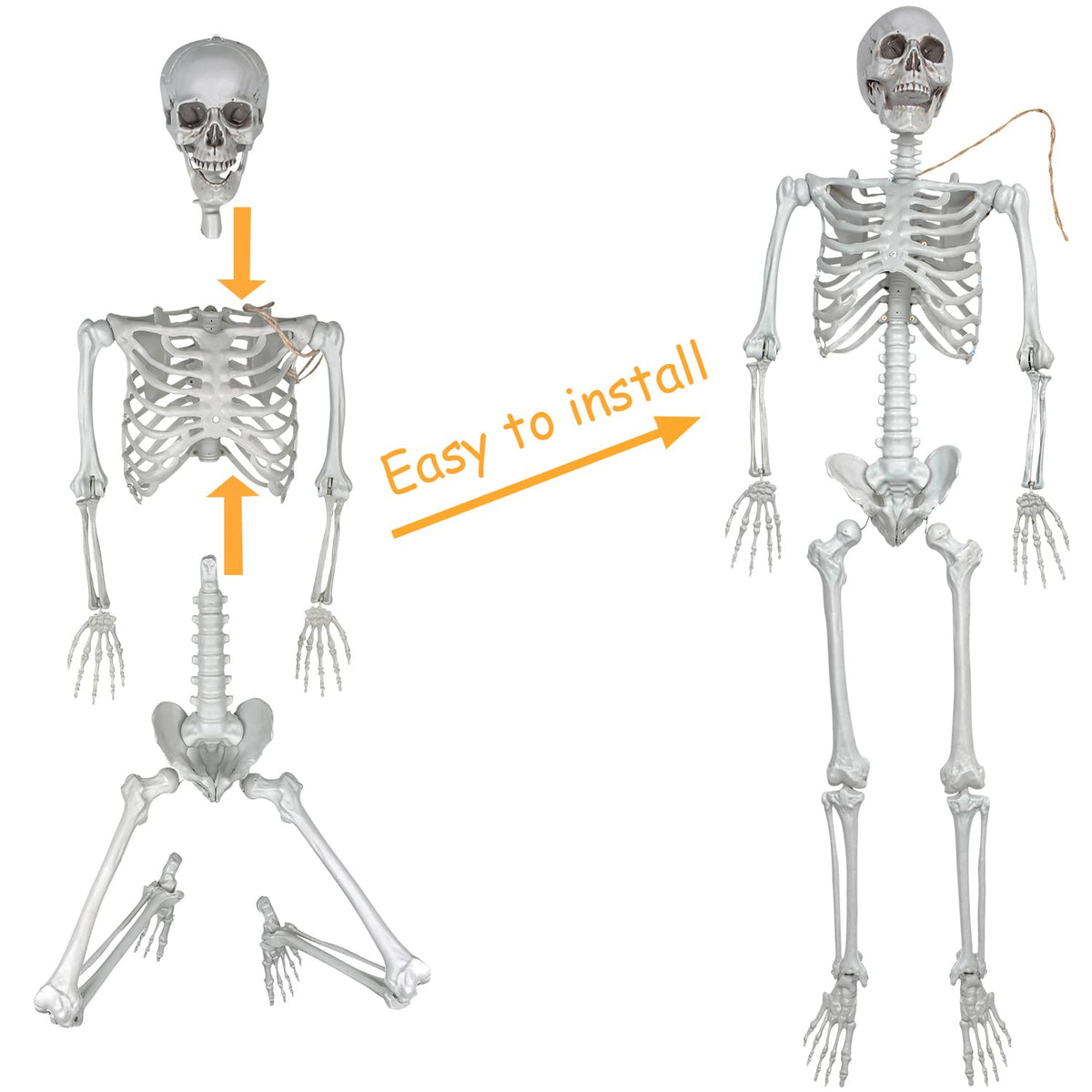 2Packs 5.4ft Life Size Full Body Skeletons with Movable Joints G520