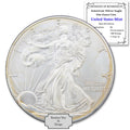 1 oz American Silver Eagle Coin S44038