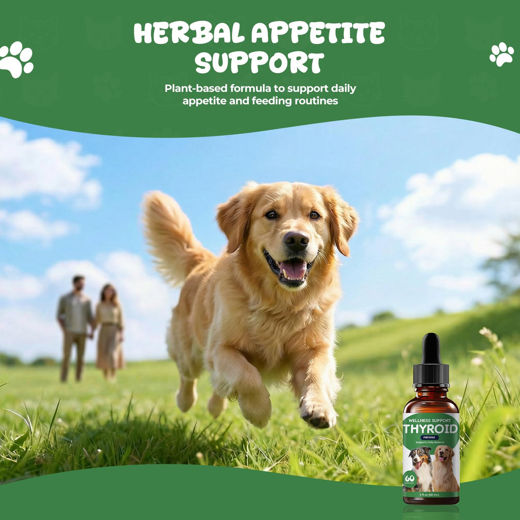 Thyroid Support Drops for Dogs M322
