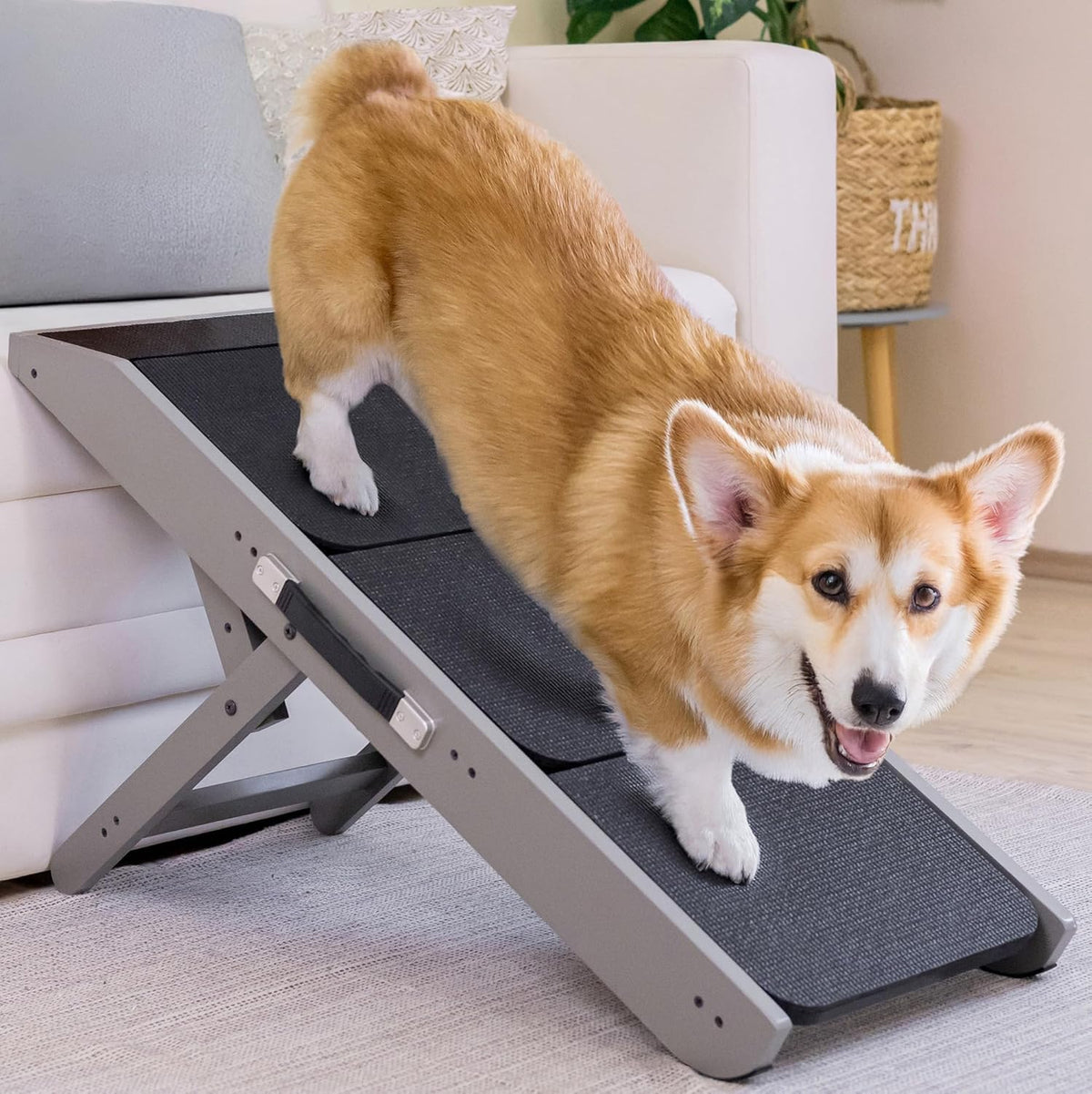Foldable Non-Slip Dog Ramp R162