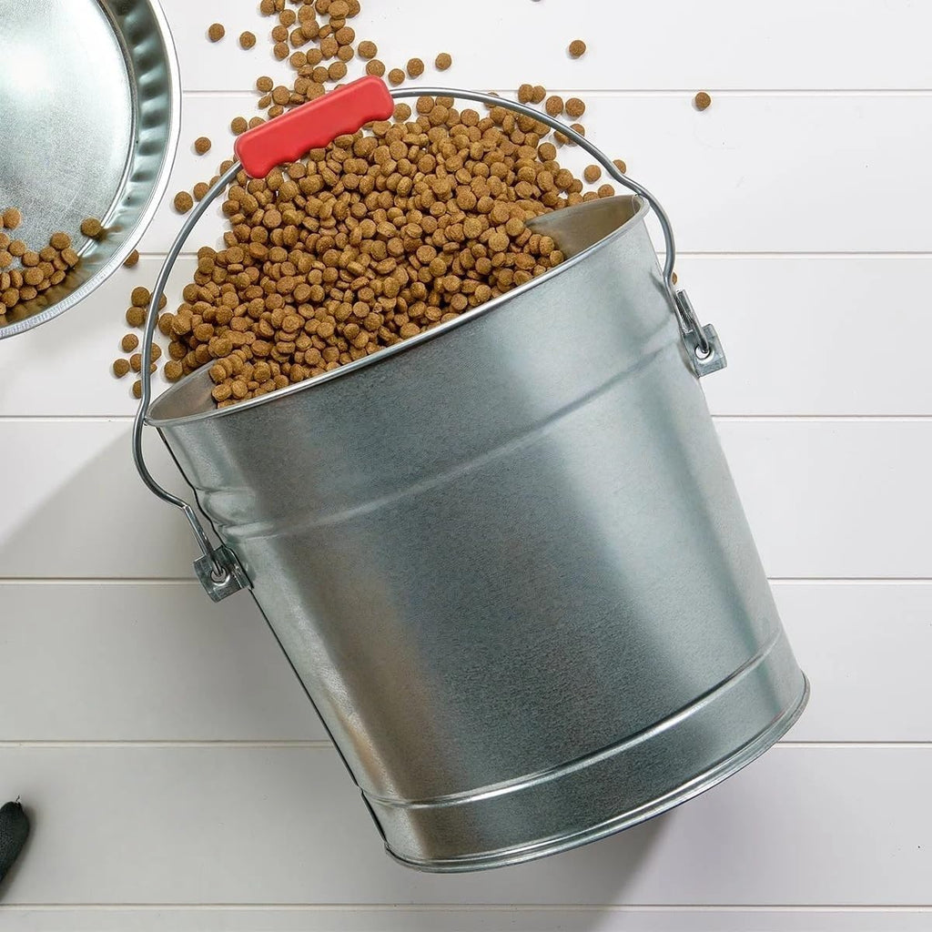 6-Gallon Galvanized Steel Storage Can with Locking Lid J3616