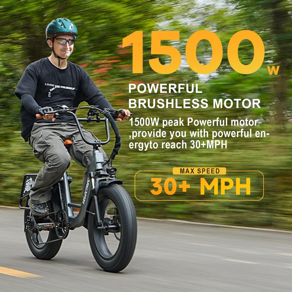 1500W Peak 48V 20Ah Electric Bike N2597