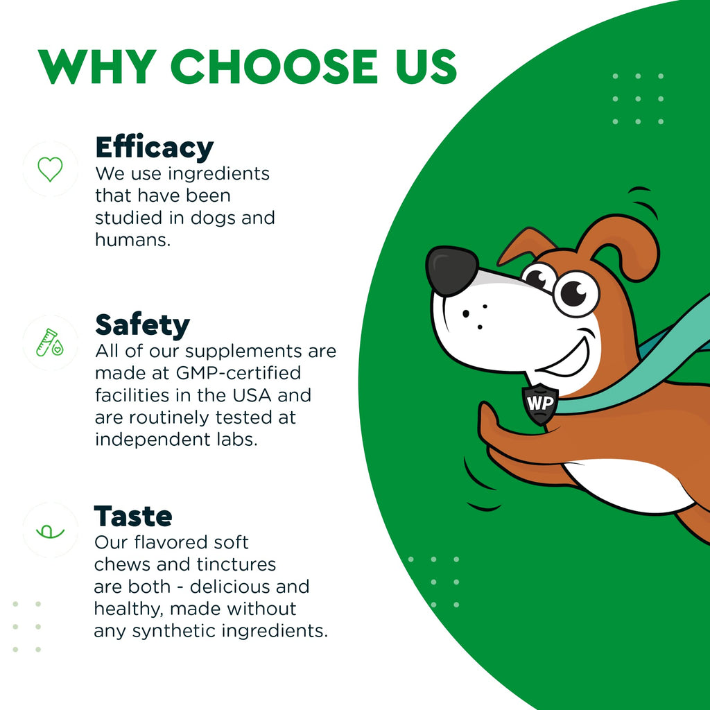 Soft Chews Plus Multivitamin Chews for Dogs B352964