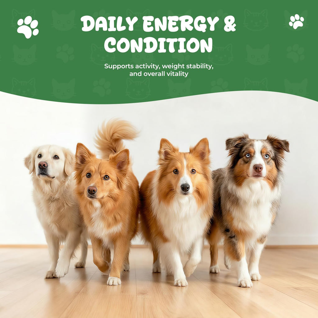 Thyroid Support Drops for Dogs M322