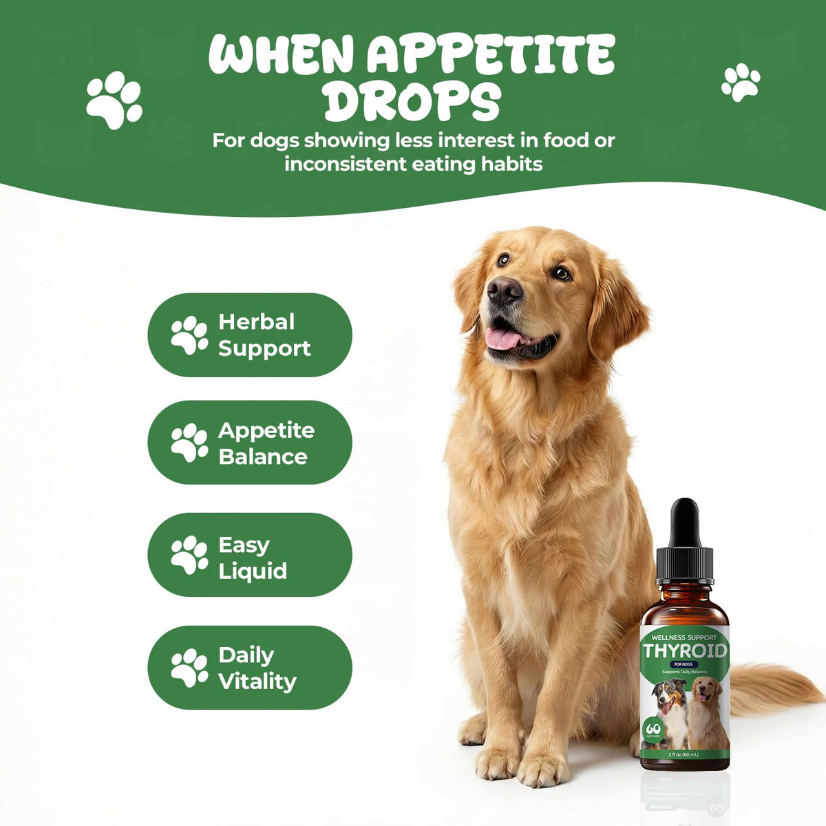 Thyroid Support Drops for Dogs M322