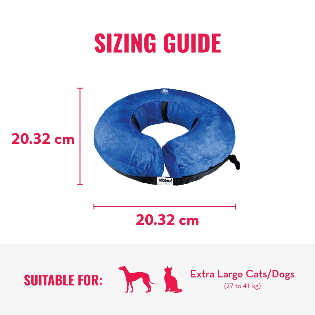X-Large Dog Collar S14853