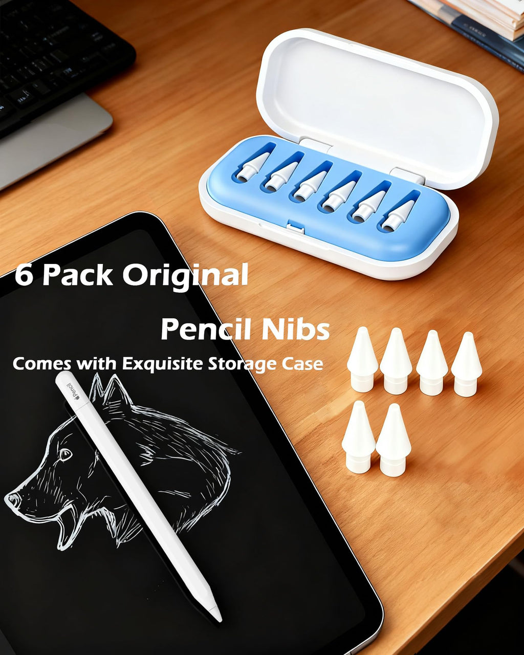6 Pack Replacement Pencil Tips with Case I712