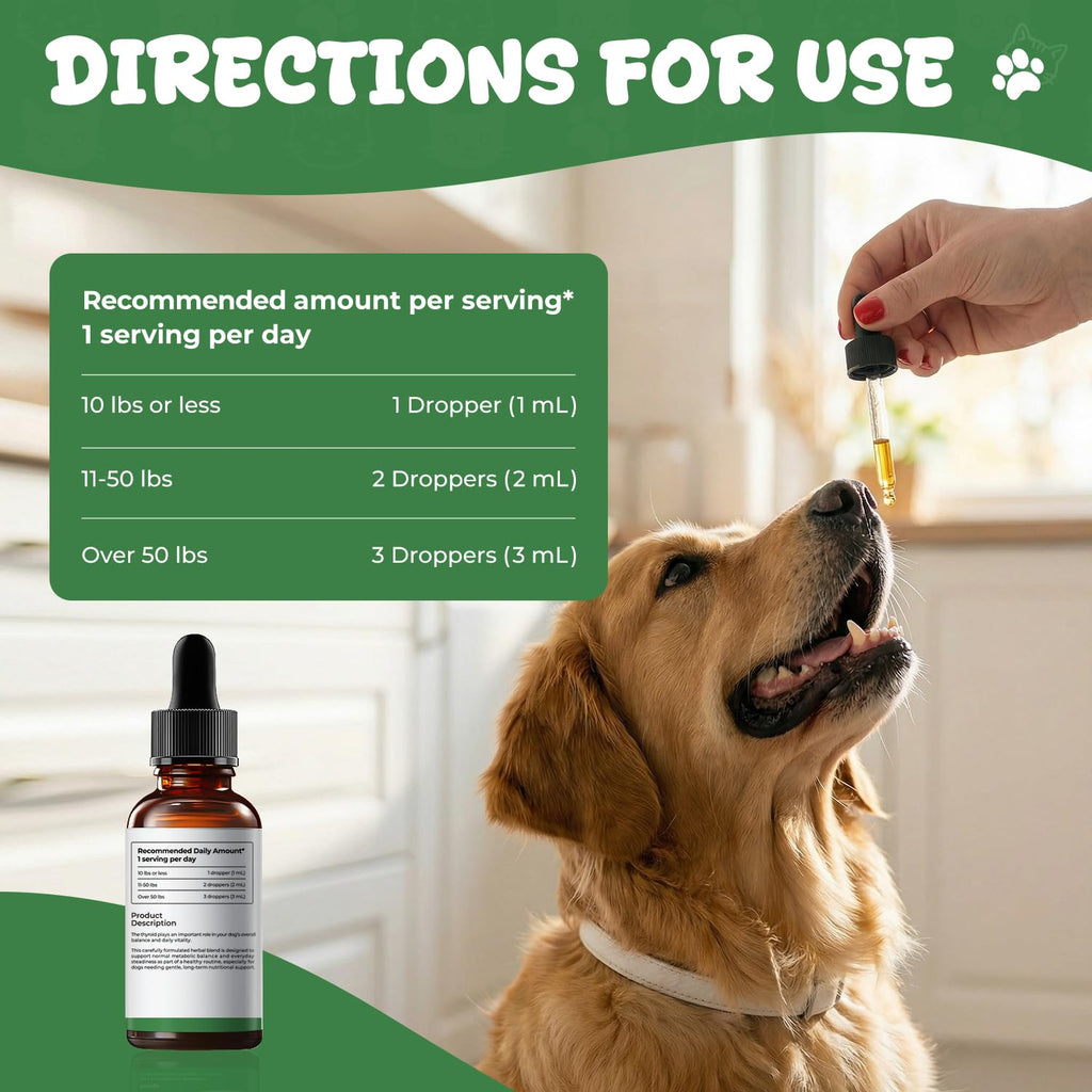 Thyroid Support Drops for Dogs M322