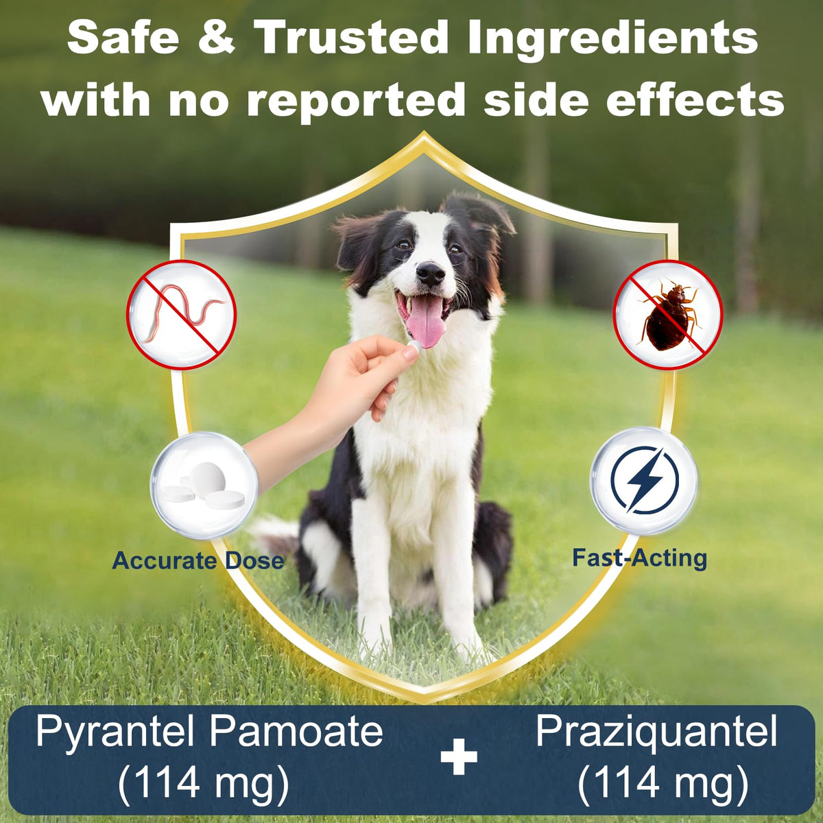 7-Way Dewormer for Dogs, 30 Tablets E27345