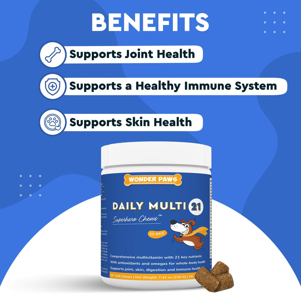 Soft Chews Plus Multivitamin Chews for Dogs B352964