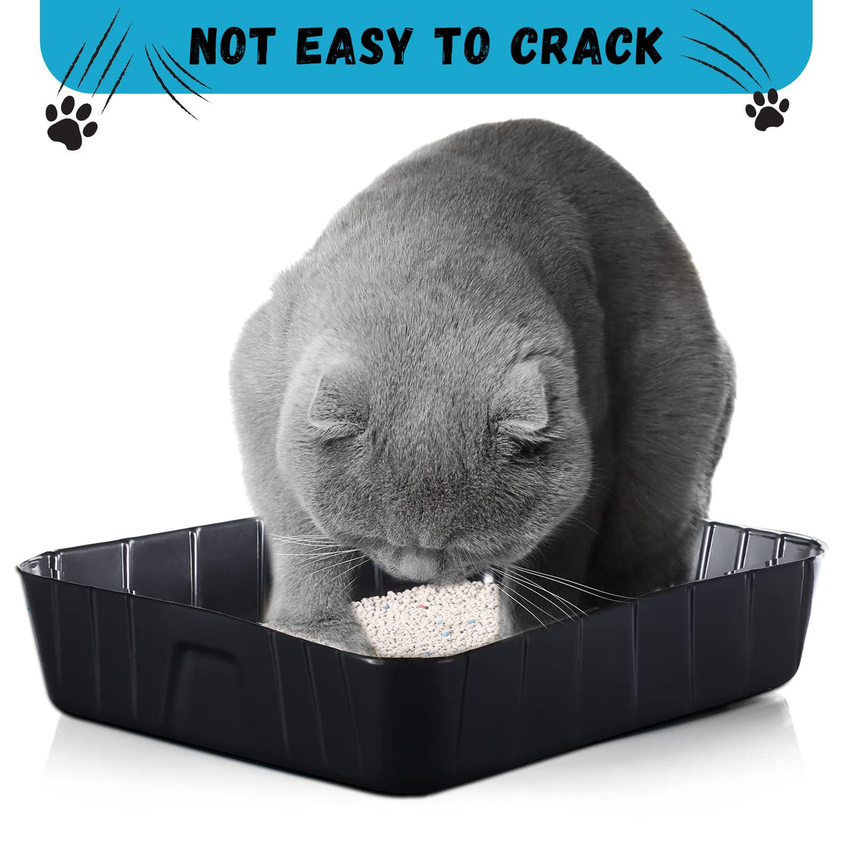 Black Disposable Litter Box for Cats S841