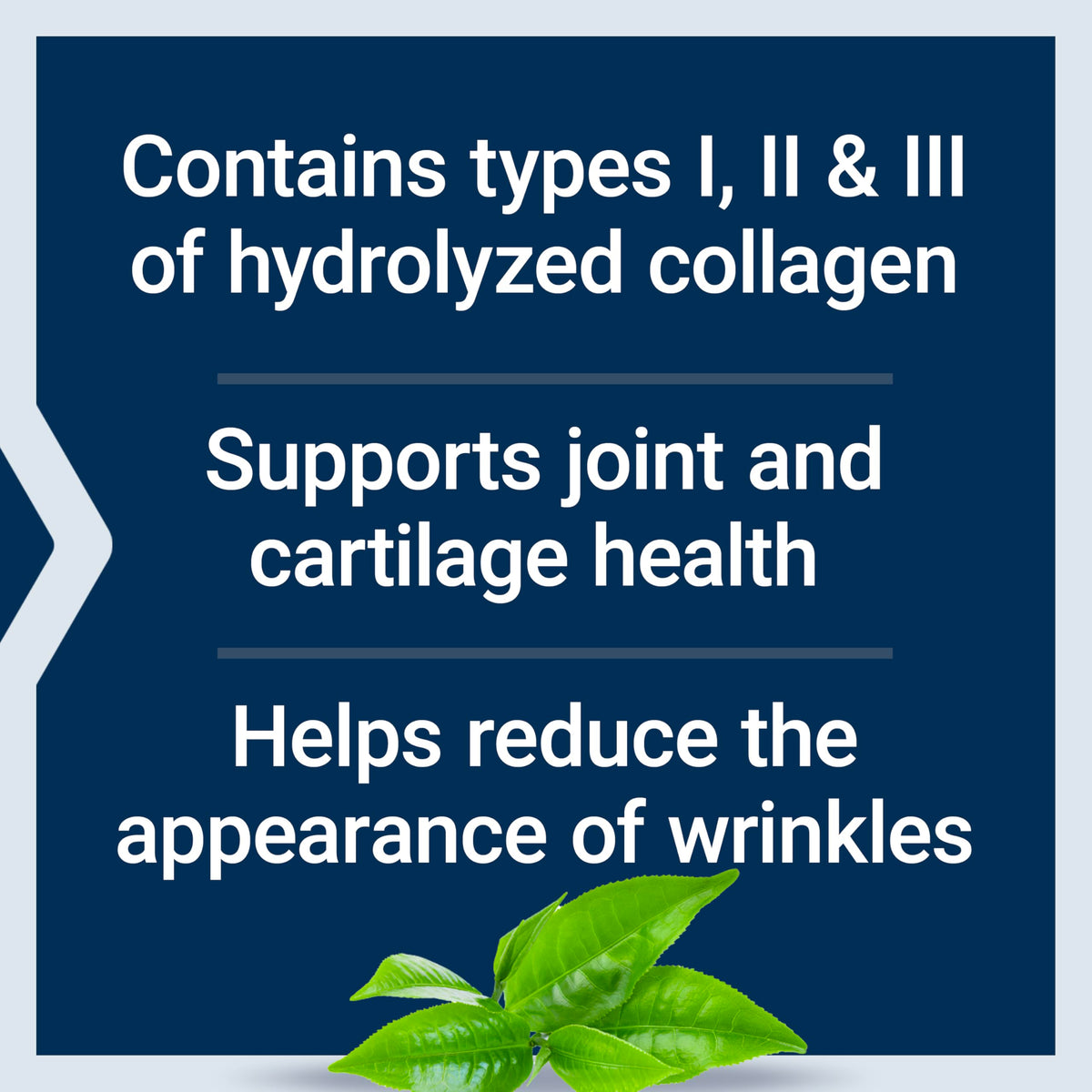 Collagen Peptides 343 Grams Y39601