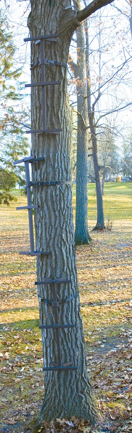 Tree Climbing Sticks 3 Pack F730538