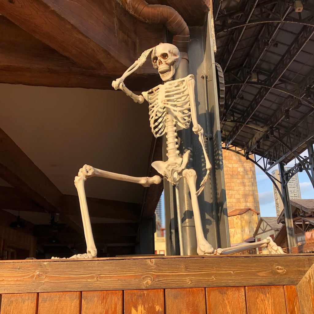 2Packs 5.4ft Life Size Full Body Skeletons with Movable Joints G520