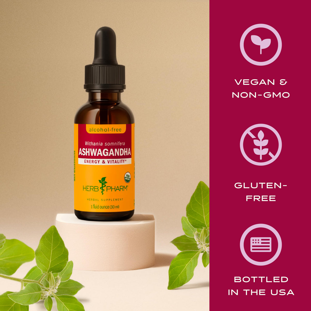 Organic Alcohol-Free Ashwagandha Liquid Extract 1 Oz A4408