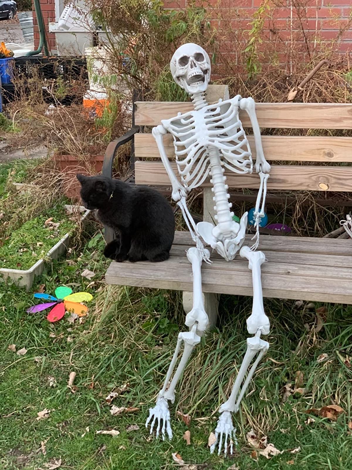 2Packs 5.4ft Life Size Full Body Skeletons with Movable Joints G520