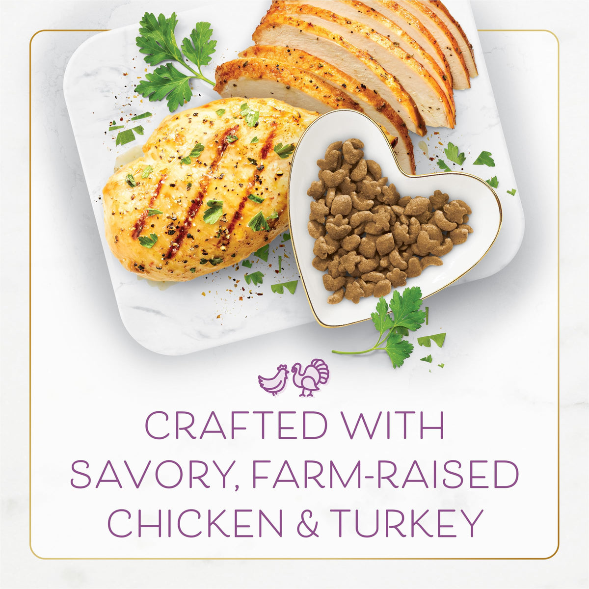 Chicken & Turkey Dry Cat Food 12lb Bag I82686