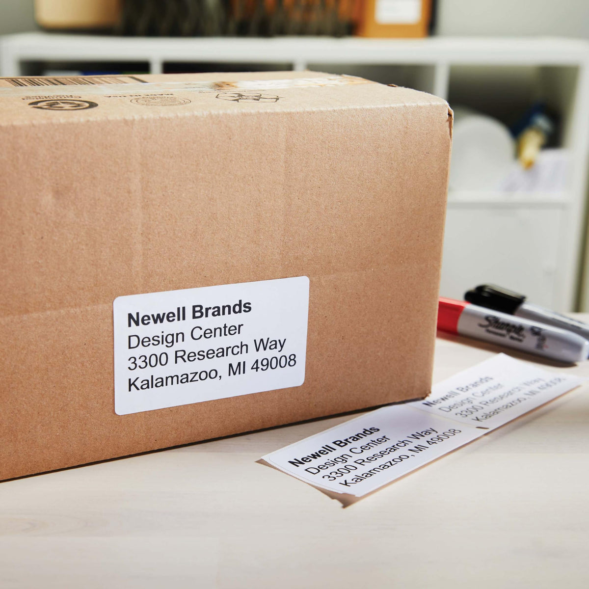 Large Shipping Labels for LabelWriter Printers, 6 Rolls of 300 X75208