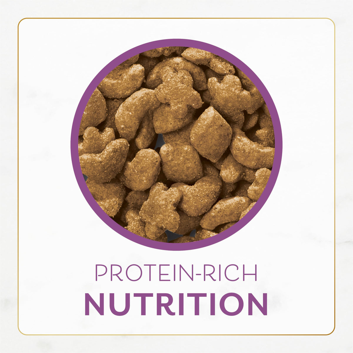 Chicken & Turkey Dry Cat Food 12lb Bag I82686
