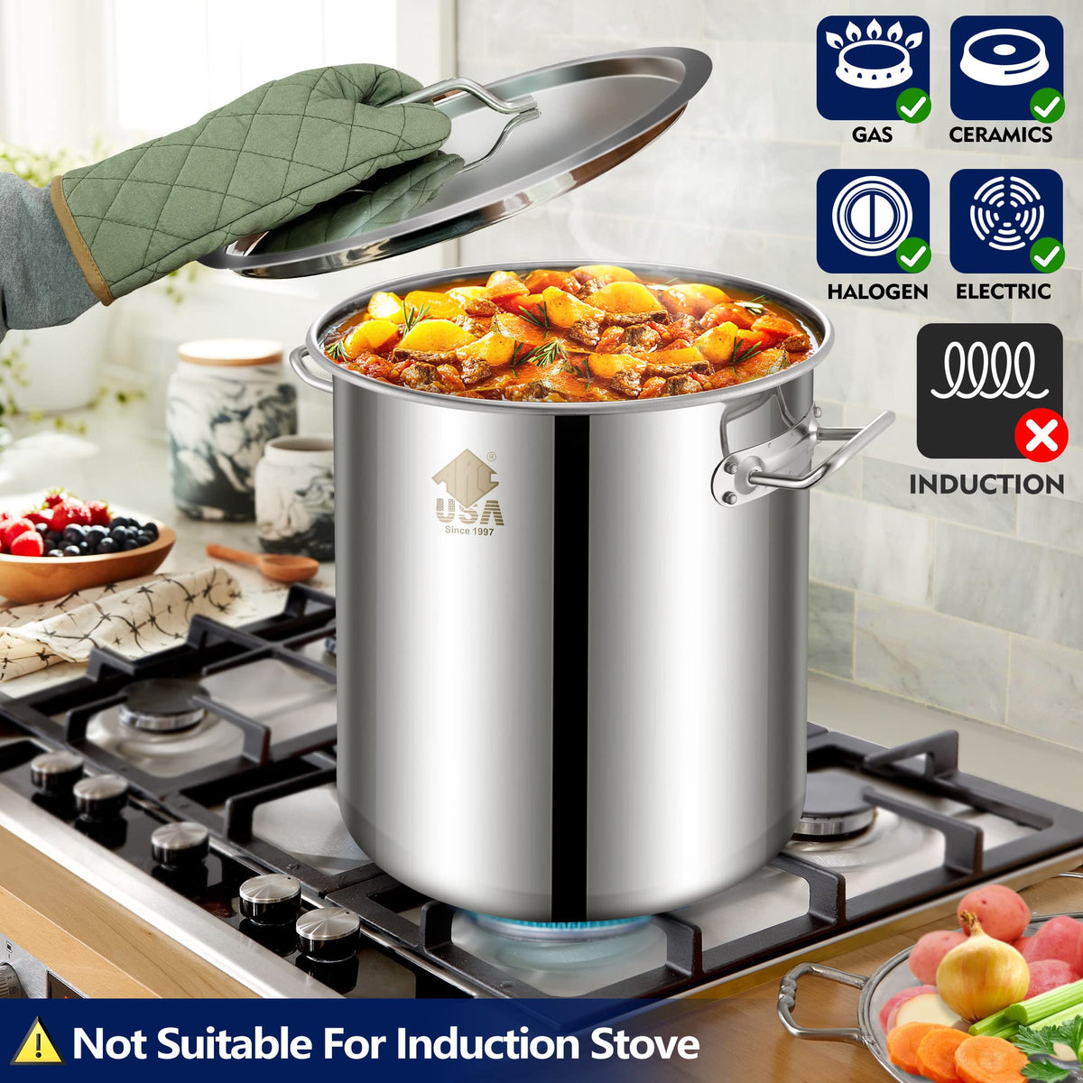 40QT Stainless Steel Stock Pot and 55,000BTU Propane Burner P6632