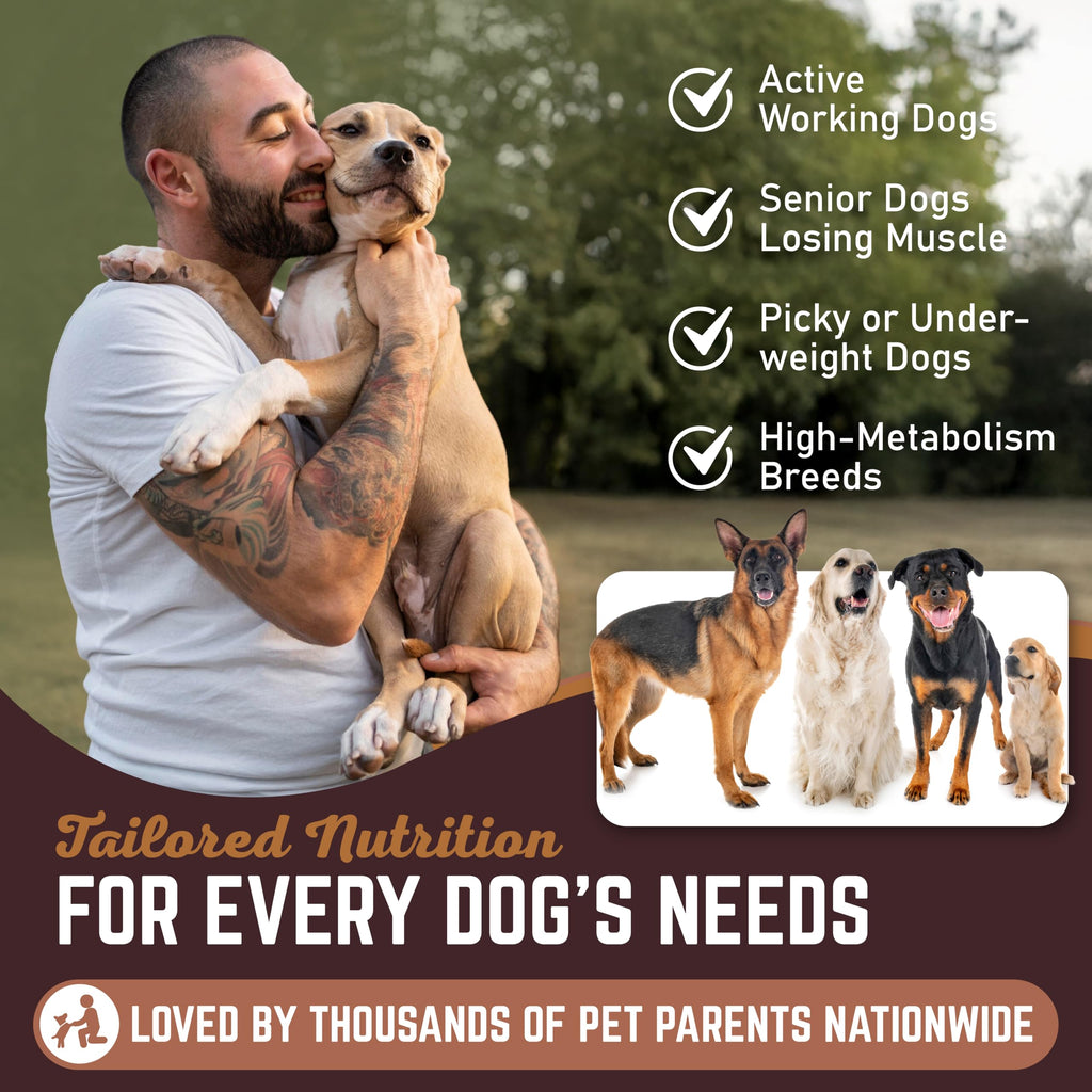 High Calorie Dog Weight Gainer Liquid 16 oz B354