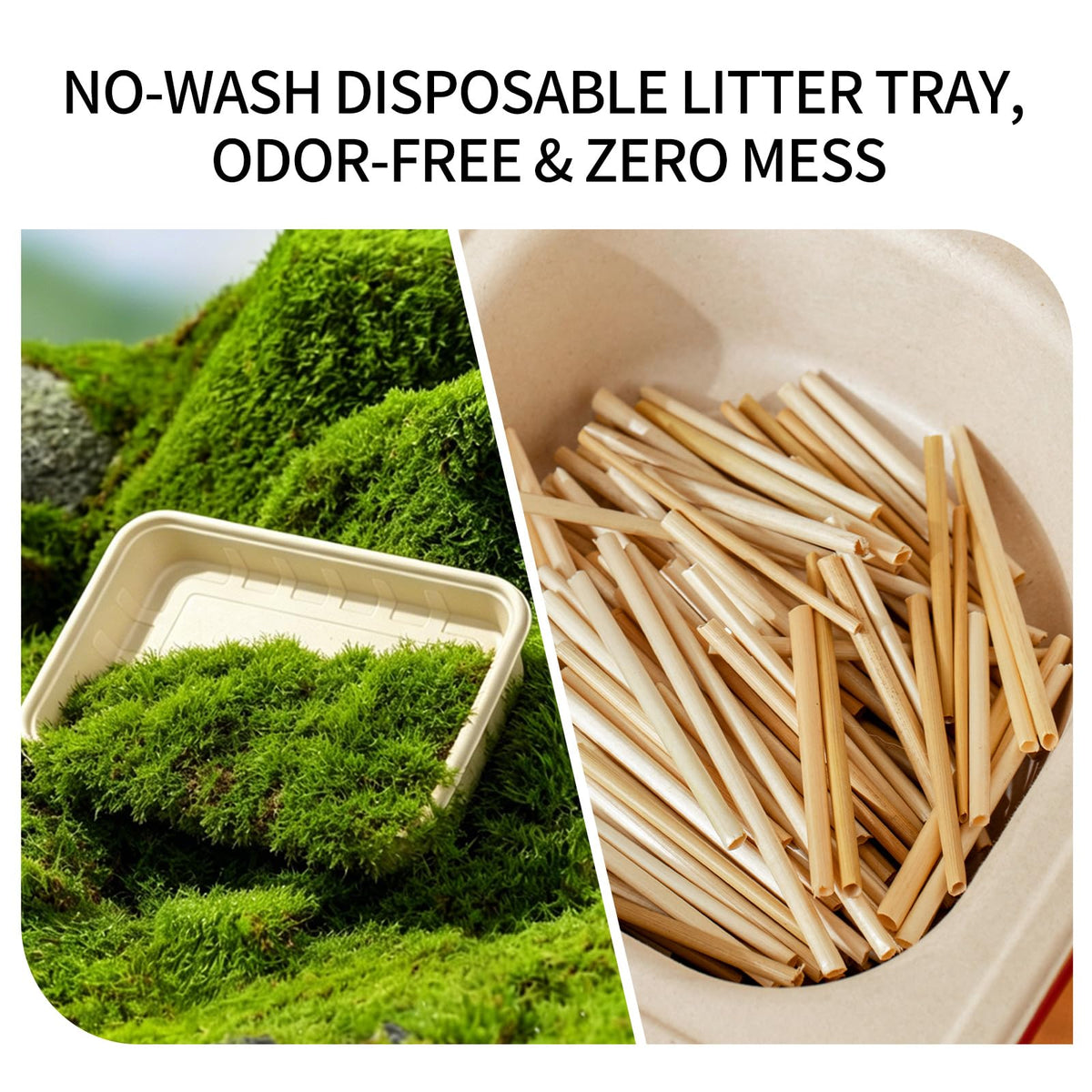 1+5 Pack Disposable Litter Boxes for Cats V7458
