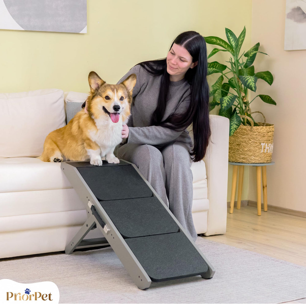 Foldable Non-Slip Dog Ramp R162