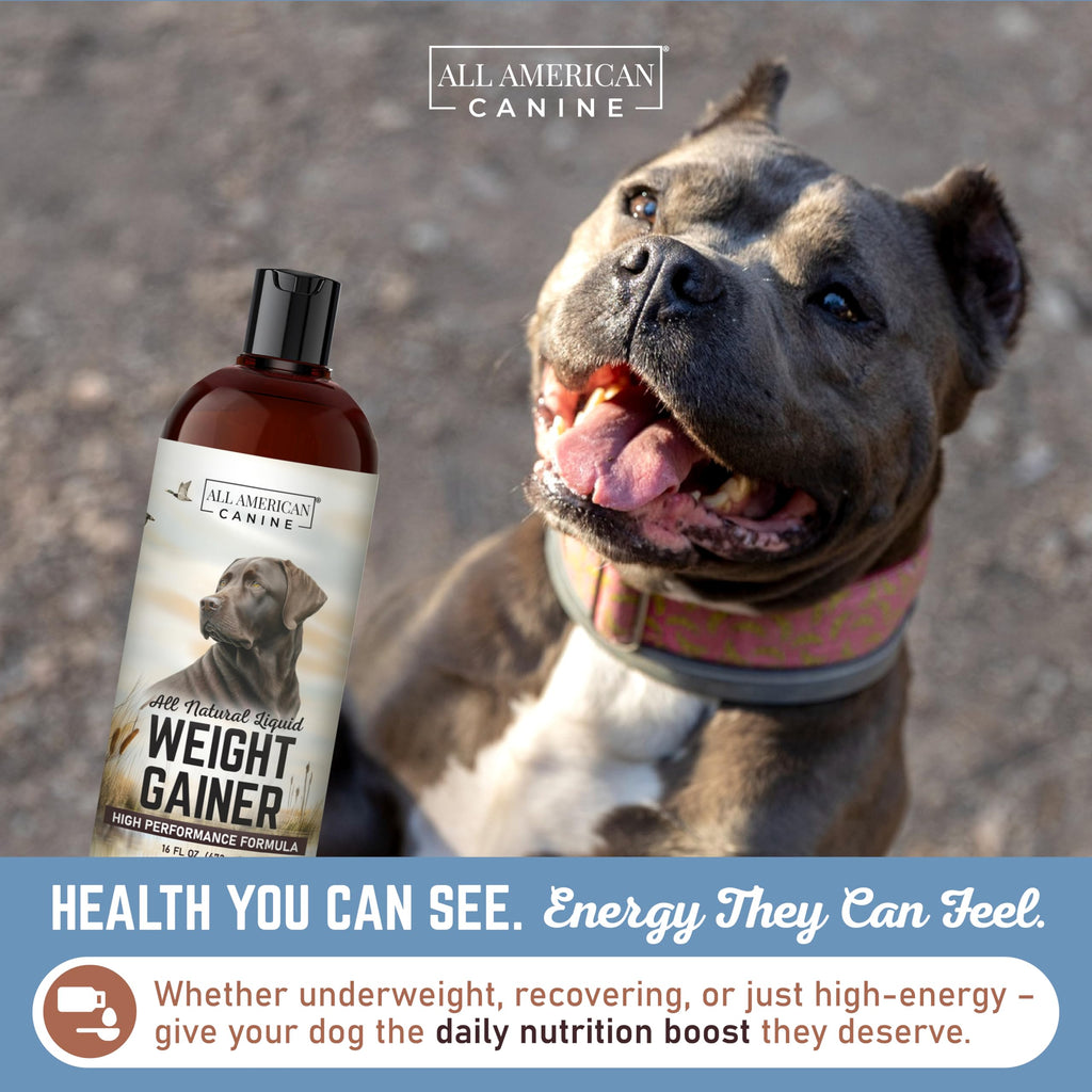 High Calorie Dog Weight Gainer Liquid 16 oz B354