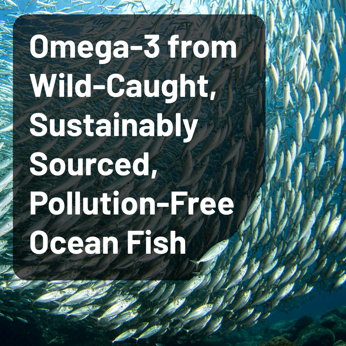 Omega 3 Fish Oil 2200 mg Lemon Flavor 60 Softgels M96182